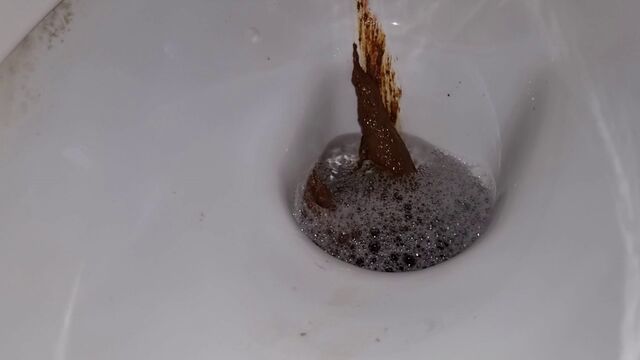 Big poop after lunch