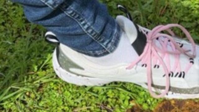 Crappy walk in Women’s Sneakers