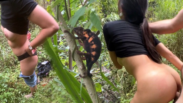 Asian teen fucked in the jungle. A chameleon is watching us